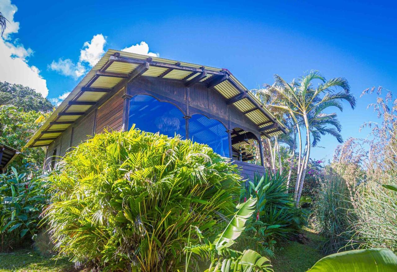 Piton Bungalows Ecolodges Deshaies Zewnętrze zdjęcie