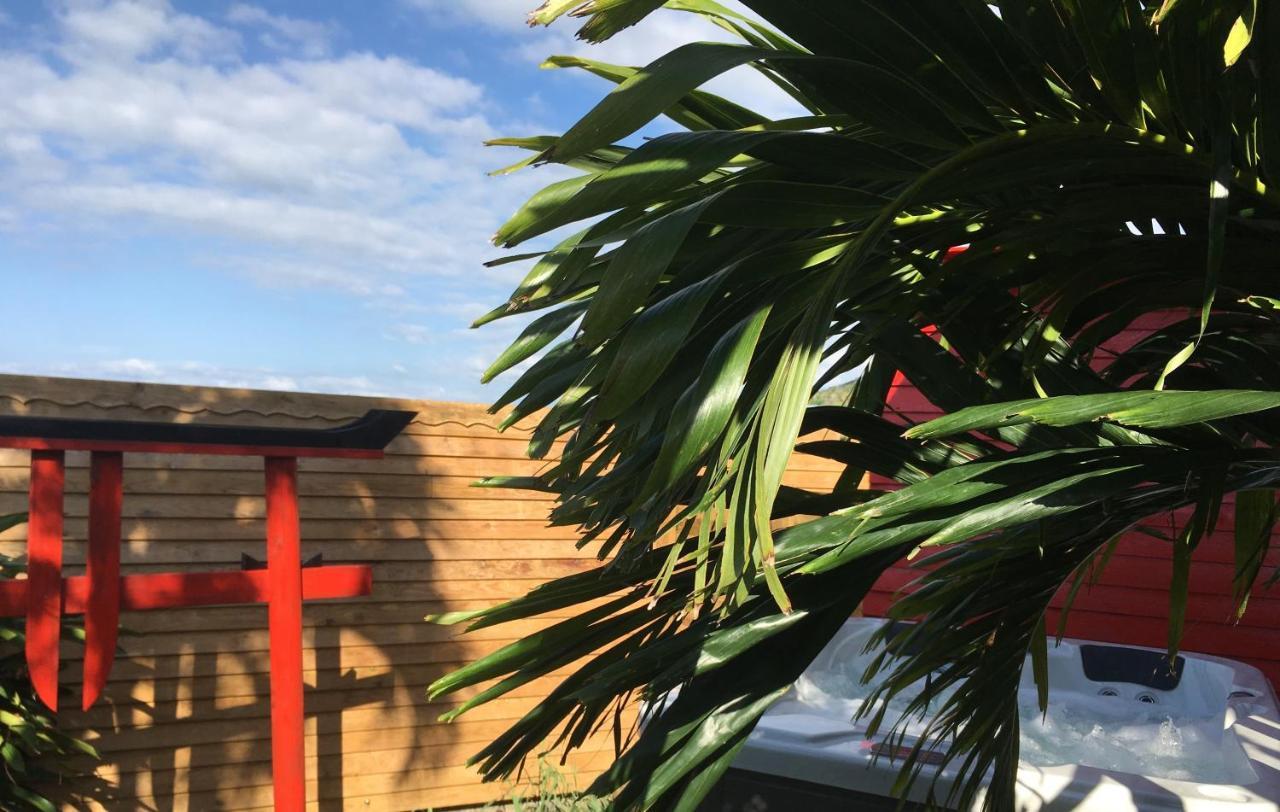 Piton Bungalows Ecolodges Deshaies Zewnętrze zdjęcie