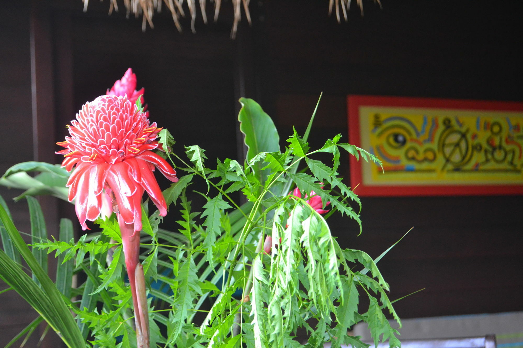 Piton Bungalows Ecolodges Deshaies Zewnętrze zdjęcie