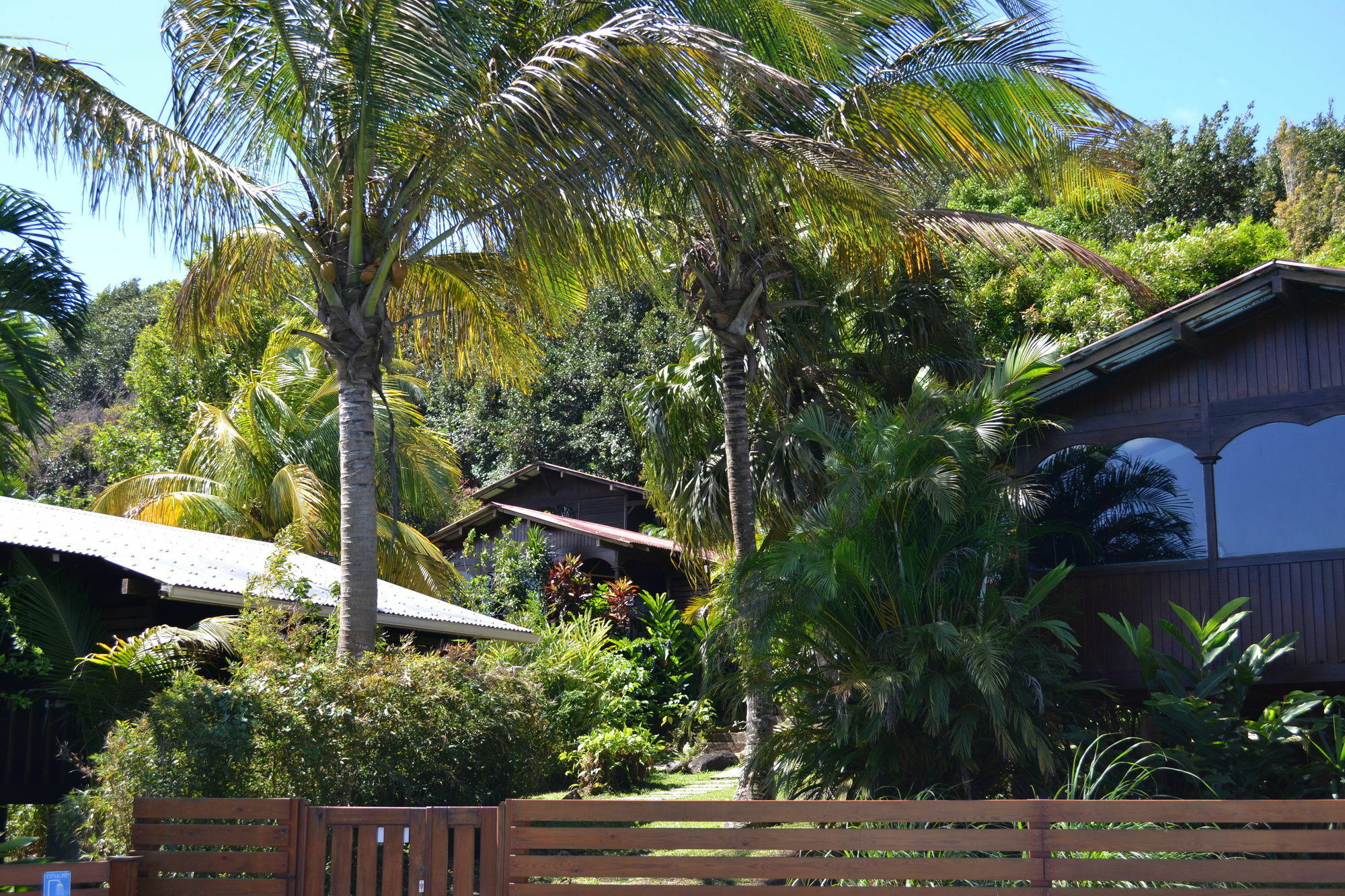 Piton Bungalows Ecolodges Deshaies Zewnętrze zdjęcie